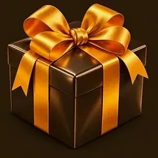 Wrapped gift box — Casiny